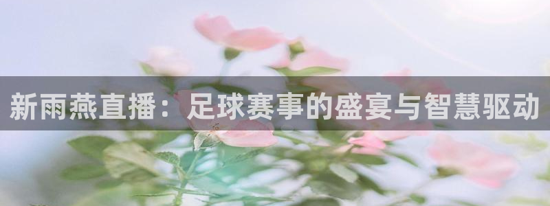 新雨燕直播：足球赛事的盛宴与智慧驱动
