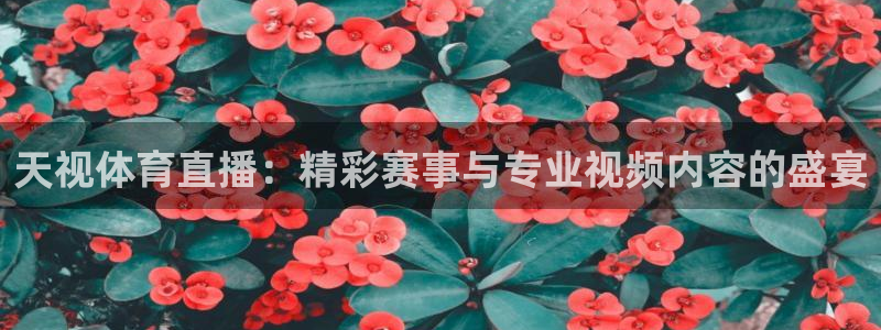 天视体育直播：精彩赛事与专业视频内容的盛宴