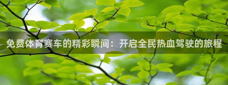 免费体育赛车的精彩瞬间：开启全民热血驾驶的旅程