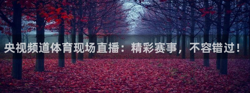 央视频道体育现场直播：精彩赛事，不容错过！
