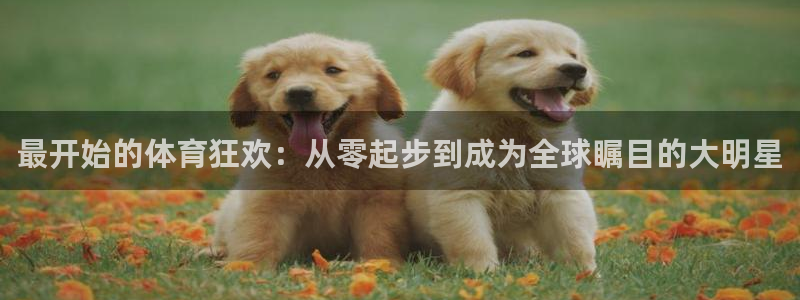 最开始的体育狂欢：从零起步到成为全球瞩目的大明星