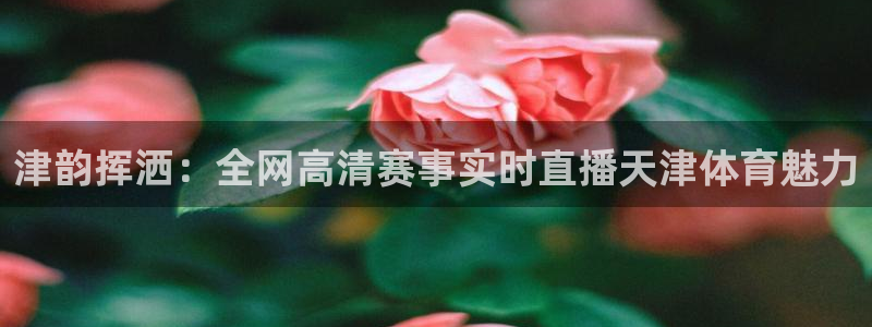 津韵挥洒：全网高清赛事实时直播天津体育魅力