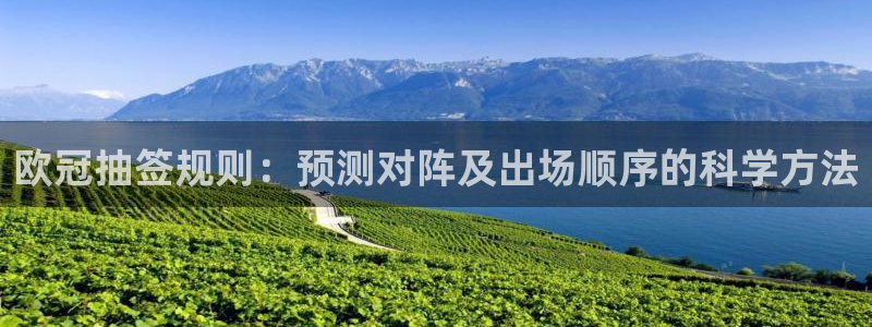 欧冠抽签规则：预测对阵及出场顺序的科学方法