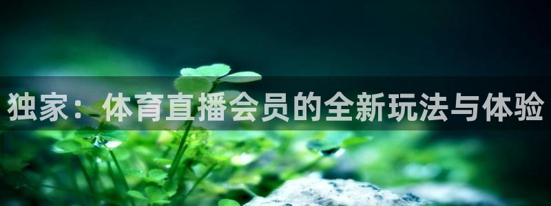 独家：体育直播会员的全新玩法与体验