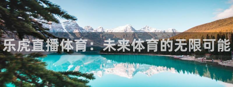 乐虎直播体育：未来体育的无限可能