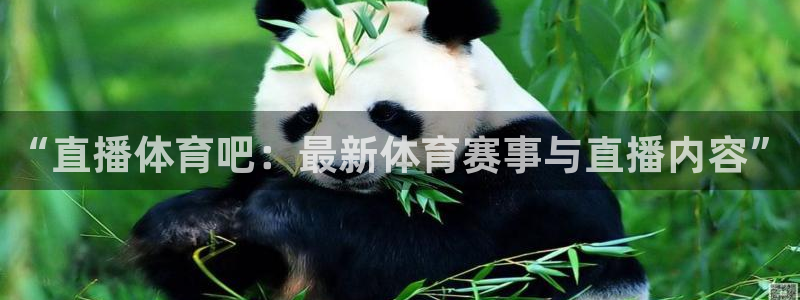 “直播体育吧：最新体育赛事与直播内容”