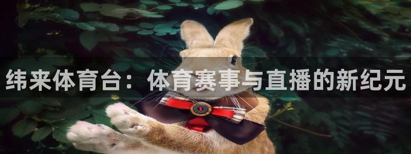纬来体育台：体育赛事与直播的新纪元
