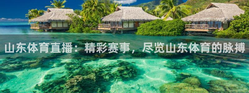 山东体育直播：精彩赛事，尽览山东体育的脉搏