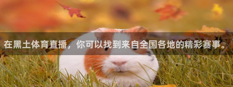 在黑土体育直播，你可以找到来自全国各地的精彩赛事。