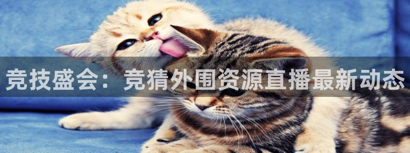 竞技盛会：竞猜外围资源直播最新动态