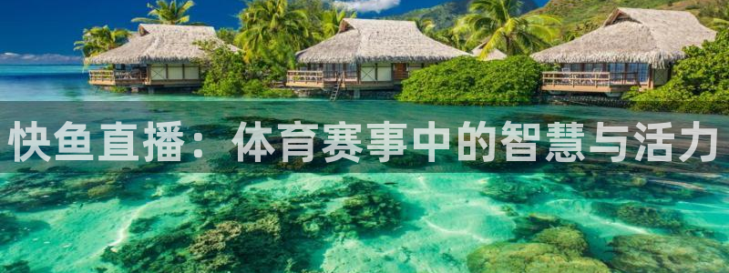 快鱼直播：体育赛事中的智慧与活力