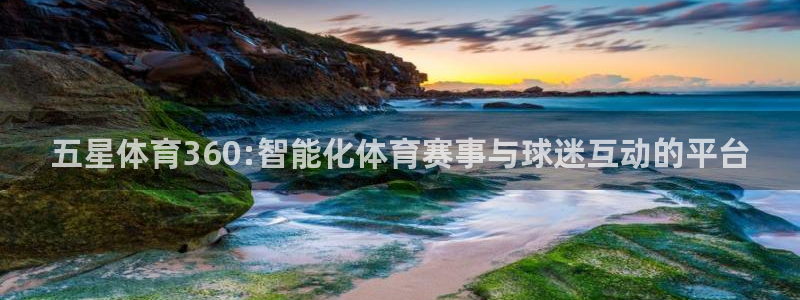 五星体育360:智能化体育赛事与球迷互动的平台