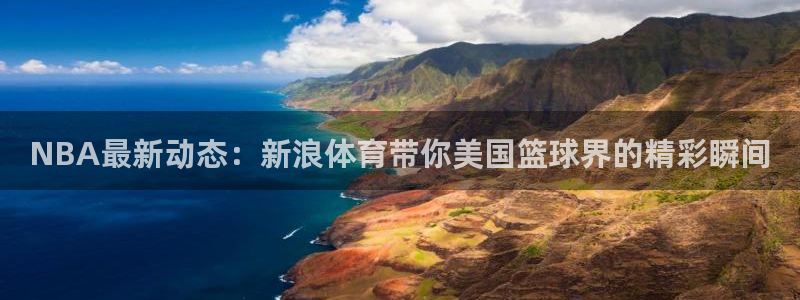 NBA最新动态：新浪体育带你美国篮球界的精彩瞬间