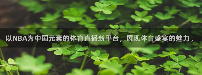 以NBA为中国元素的体育直播新平台，展现体育盛宴的魅力。
