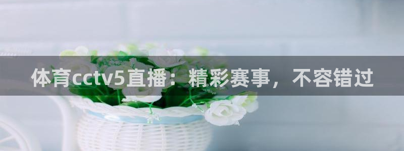 体育cctv5直播：精彩赛事，不容错过