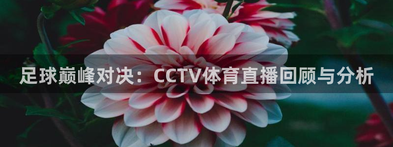 足球巅峰对决：CCTV体育直播回顾与分析