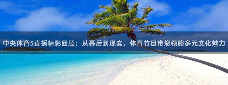 中央体育5直播精彩回顾：从幕后到现实，体育节目带您领略多元文化魅力