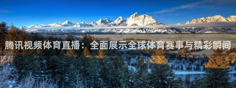 腾讯视频体育直播：全面展示全球体育赛事与精彩瞬间