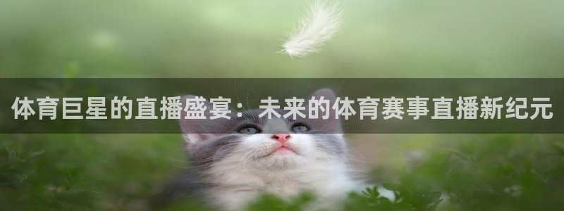 体育巨星的直播盛宴：未来的体育赛事直播新纪元
