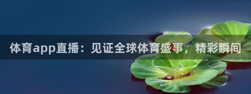 体育app直播：见证全球体育盛事，精彩瞬间