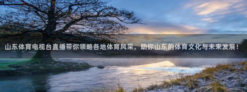 山东体育电视台直播带你领略各地体育风采，助你山东的体育文化与未来发展！