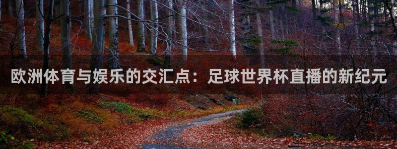 欧洲体育与娱乐的交汇点：足球世界杯直播的新纪元
