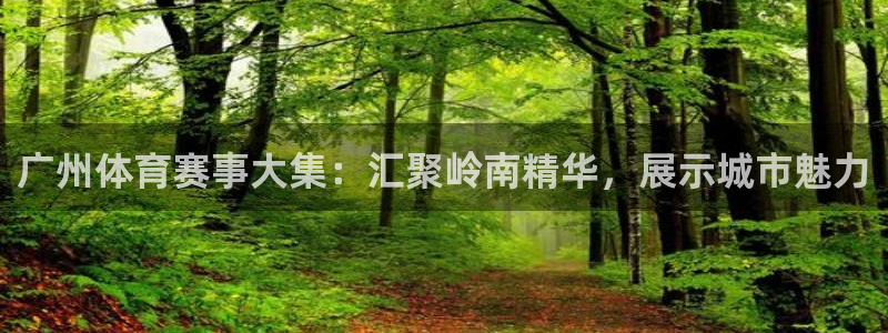 广州体育赛事大集：汇聚岭南精华，展示城市魅力
